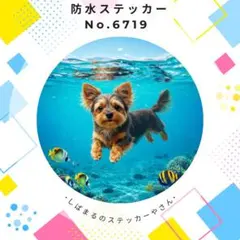 【送料無料❣️】ヨークシャーテリア防水ステッカー 海