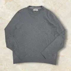 あ*様 トミーヒルフィガー 後V ニット US古着 刺繍ロゴ プルオーバー L