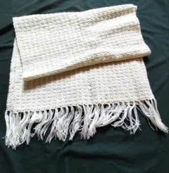 Item thumbnail for item af7beda6-a6eb-42b9-8763-4c5da880e371