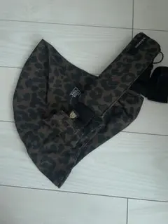 ワイルドライド