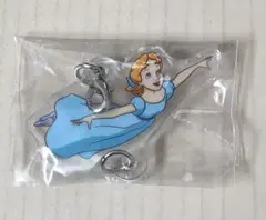 ☆未使用☆ ピーター・パン アソートコレクション アクリルチャーム ウェンディ