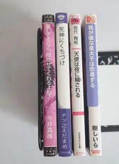 BL小説 4冊セット まとめ売り