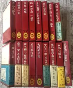 集英社 日本文学全集 全巻セット 夏目漱石 中野重治 永井荷風 24冊 集英社 日本文学全集 全巻セット 夏目漱石 中野重治 永井荷風 24冊