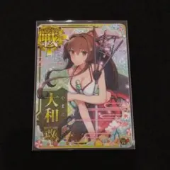 大和改中破 SUMMER2019フレーム 水着mode 艦これアーケード Amazon.co.jp: 秋津洲 改中破 ホロ 2023年 サマーフレーム 水着