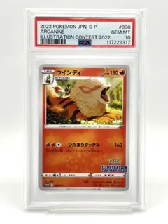 2025年最新】pokémon trading card game イラストレーション