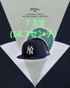 the Apartment SUN FADED FITTED CAP