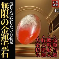 霊石 レア 希少一点物 人生成功のエネルギーを貴女様に… ※魂入れ有・占い無し 霊石 希少一点物 人生成功のエネルギーを貴女様に… ※魂入れ