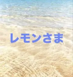 レモンさま専用 シルバニアファミリー小物 中古品