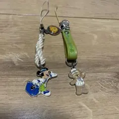 ディズニーお土産　スプリングボヤージュ　ミッキー&ダッフィー