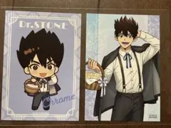Dr.STONE イラストカード　グッズ購入特典　ドクスト　クロム オンザページ