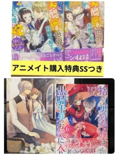 捨てられ男爵令嬢は黒騎士様のお気に入り6 他