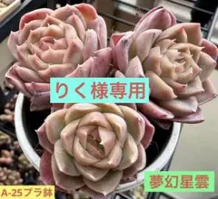 りく様 リクエスト 3点 まとめ商品