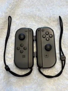 Nintendo Switch Joy-Con グレー 左右セット ストラップ付