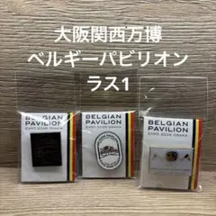 激レア　ベルギー館　スタッフピン　国旗カラー信号機　スマイル　ピンバッジ　ピンズ 2025年最新】ベルギーピンバッジの人気アイテム - メルカリ
