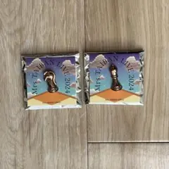 TAIBAN Random Pins 2024