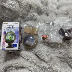 ポケモン　Kaichu Collection カルボウ