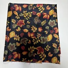 Item thumbnail for item 37c070e0-9235-4942-bc96-e329ae301aa1