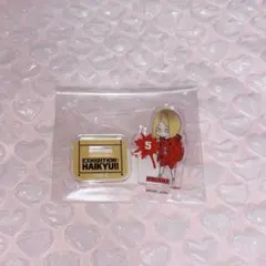 ハイキュー 孤爪研磨