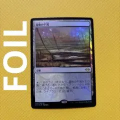 2026年最新】湿地の干潟/marsh flatsの人気アイテム - メルカリ
