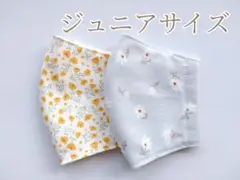 #450　ジュニアサイズ布マスク✾2枚セット　デコレクションズ