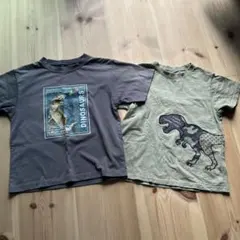 恐竜柄 Tシャツ 2枚セット キッズ 男の子 120
