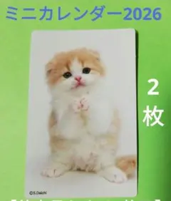 Item thumbnail for item 03d1afe3-c7c6-4ed8-8878-498d2dcbada0