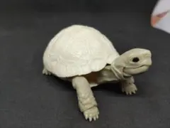 Item thumbnail for item 22fea1cb-b278-4aaa-888b-df718478857b