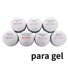 値引き中。新品未開封！パラジェルEXクリアジェル10g2個 - メルカリ