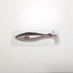 Item thumbnail for item e0113a07-43c6-48e2-8435-b2b713a455ee