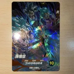 AP2-001孫悟空　パラレル