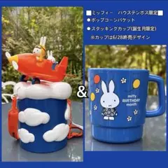 ハウステンボス限定 ミッフィー ポップコーンフライトアドベンチャー