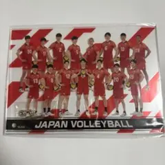 2026年最新】バレーボール男子日本代表 福袋の人気アイテム - メルカリ