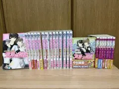 ★期間限定値下げ【匿名配送】純情ロマンチカ 21冊&純情ミニマム ほか 中村春菊 ☆期間限定値下げ【匿名配送】純情ロマンチカ 21冊&純情ミニマム ほか