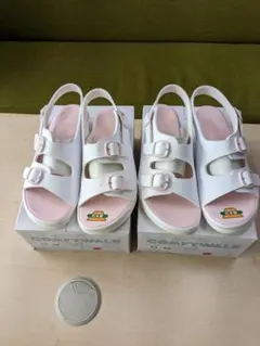 Item thumbnail for item 0319d969-3678-4c37-863e-80226b3be4f6