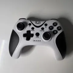 【動作確認済み】Wireless Controller STK-7038 本体