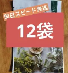 YOSAハーブ10個セット⑥ 2026年最新】yosaハーブの人気アイテム - メルカリ