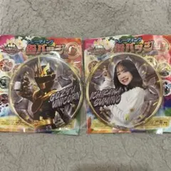 ゴジュウジャー トレーディング缶バッジ Vol.２ 一河角乃 2点セット