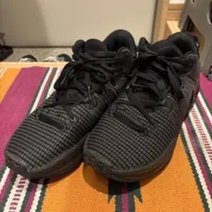 レブロン バスケットボール