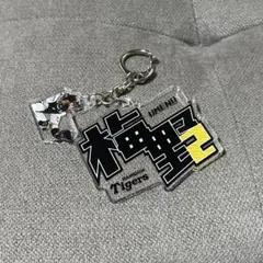 Item thumbnail for item 06085de5-9f40-498e-9e92-99b8a6e51345