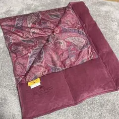 新品　エトロ　ETRO 羽毛ひざ掛け　ハーフダウンケット　ペイズリー