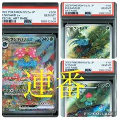 フシギダネ　フシギソウ　フシギバナex SAR AR PSA10 連番　151