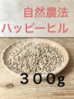 農薬不使用 7年産ハッピーヒル（うるち） 500g 種籾 陸稲 黒米籾