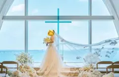 【美品】メロウ刺繍ロングベール 3m◎アールイズ