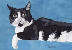 「ウメ8」猫イラスト（原画）