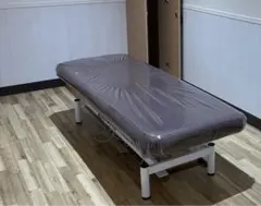 新品未使用！電動昇降施術用ベッド 送料無料】 高田ベッド 電動昇降ベッド 施術ベッド 医療用ベッド