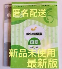 【最新版・新品 】新小学問題集 国語 小６【解答付】