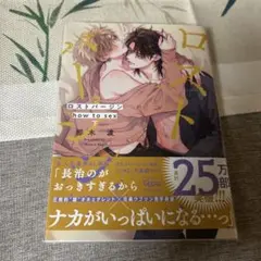 ロストバージンhow to sex 下