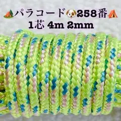 パラコード　１芯 ４m ２mm ３３１番　手芸とアウトドアなど用