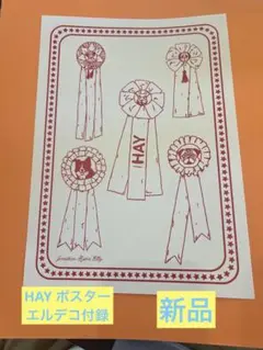 HAY ポスター エルデコ2025年10月号 付録