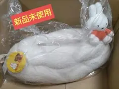 Item thumbnail for item b38e8488-e5ee-44ef-b3bb-025e7e30eebe